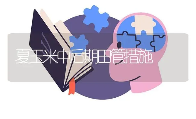 夏玉米中后期田管措施 | 粮油作物种植