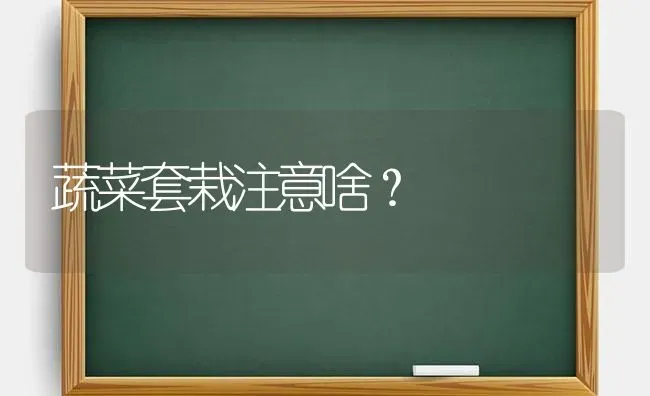 蔬菜套栽注意啥？ | 蔬菜种植