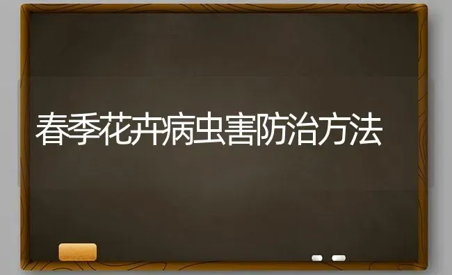 春季花卉病虫害防治方法 | 种植病虫害防治