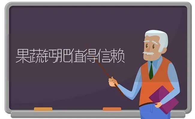 果蔬钙肥值得信赖 | 瓜果种植