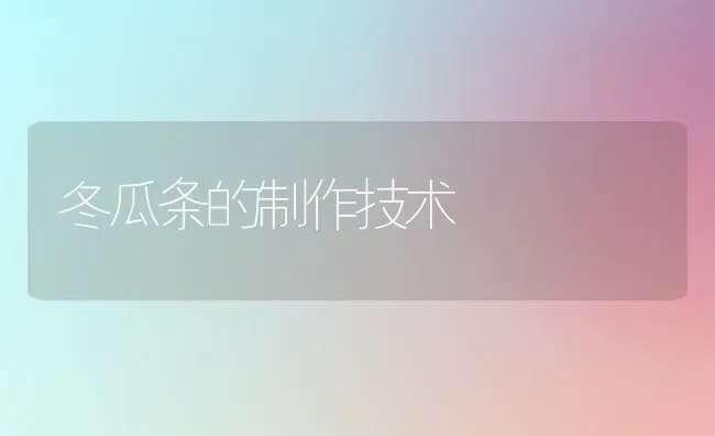 冬瓜条的制作技术 | 蔬菜种植