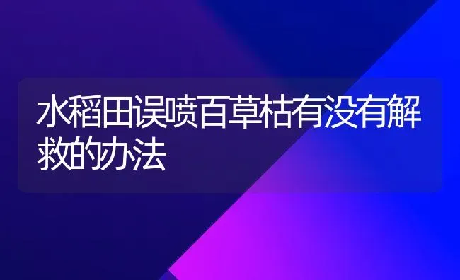 水稻田误喷百草枯有没有解救的办法 | 粮油作物种植