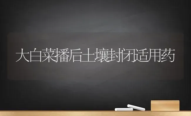 大白菜播后土壤封闭适用药 | 蔬菜种植