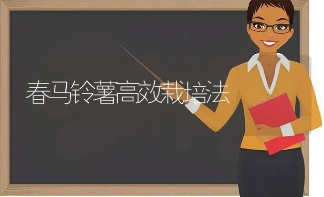 春马铃薯高效栽培法 | 粮油作物种植