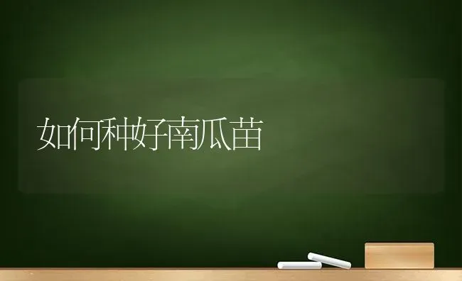 如何种好南瓜苗 | 蔬菜种植