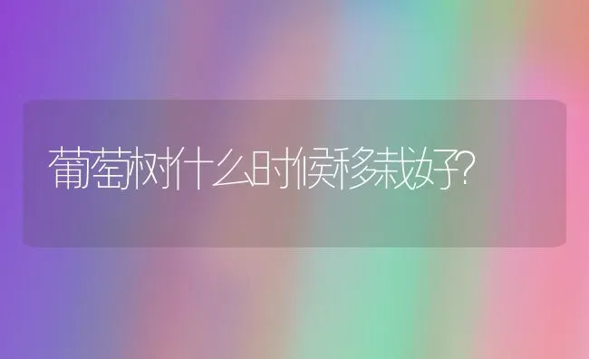 葡萄树什么时候移栽好？ | 瓜果种植