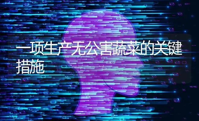 一项生产无公害蔬菜的关键措施 | 蔬菜种植