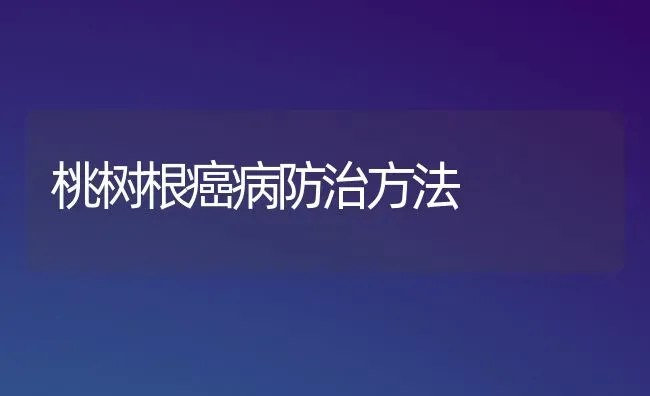 桃树根癌病防治方法 | 瓜果种植