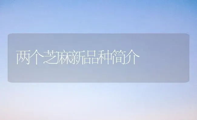 一品红的常用肥料及常见营养缺乏症 | 种植肥料施肥