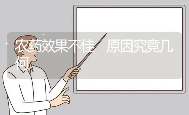 农药效果不佳 原因究竟几何 | 瓜果种植