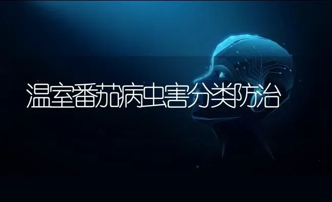 温室番茄病虫害分类防治 | 种植病虫害防治