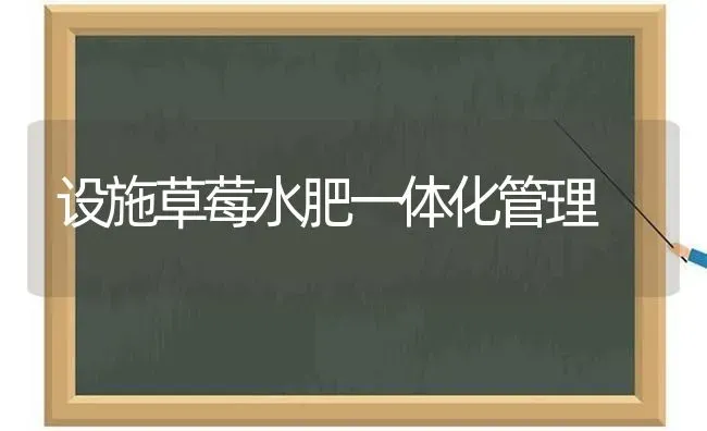 设施草莓水肥一体化管理 | 瓜果种植