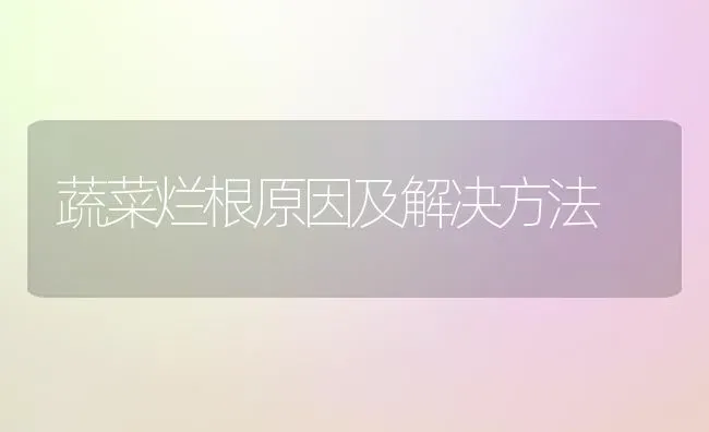 蔬菜烂根原因及解决方法 | 蔬菜种植