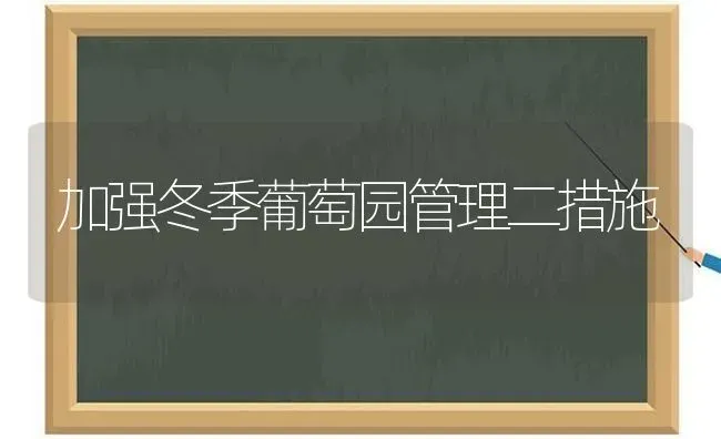 加强冬季葡萄园管理二措施 | 瓜果种植