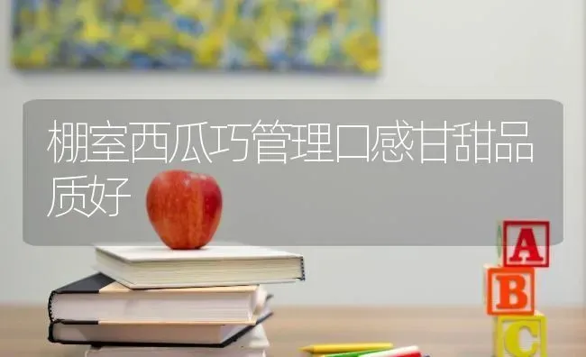 棚室西瓜巧管理口感甘甜品质好 | 瓜果种植