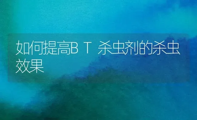 如何提高BT杀虫剂的杀虫效果 | 瓜果种植