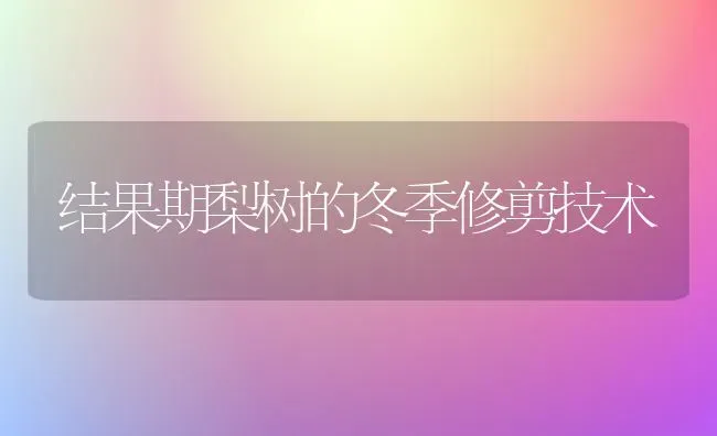 结果期梨树的冬季修剪技术 | 瓜果种植