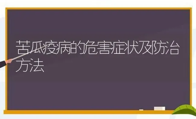 苦瓜疫病的危害症状及防治方法 | 蔬菜种植