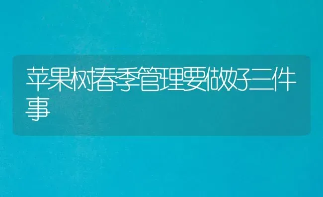 苹果树春季管理要做好三件事 | 瓜果种植