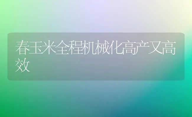 春玉米全程机械化高产又高效 | 粮油作物种植