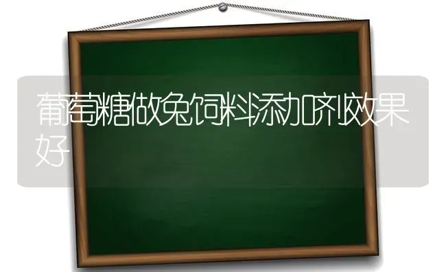 葡萄糖做兔饲料添加剂效果好 | 瓜果种植