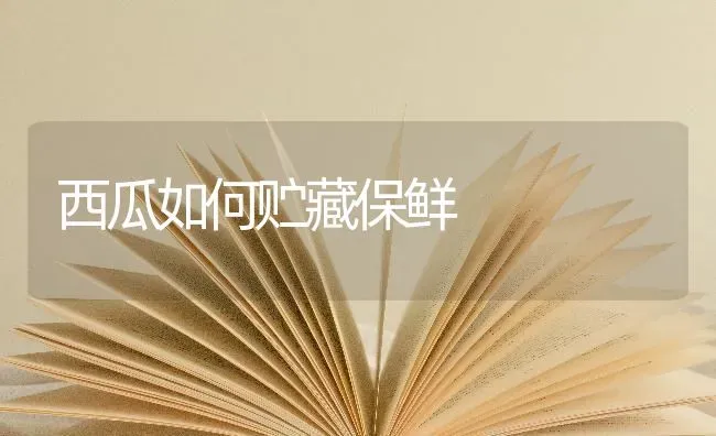 西瓜如何贮藏保鲜 | 瓜果种植