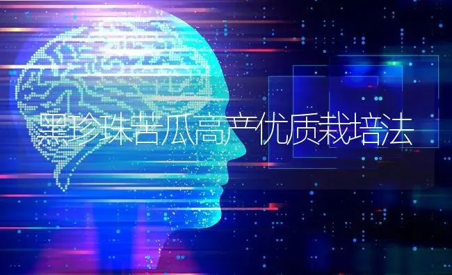 黑珍珠苦瓜高产优质栽培法 | 蔬菜种植