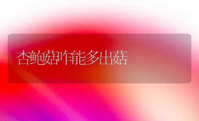 杏鲍菇咋能多出菇 | 食用菌种植