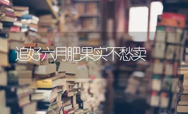 追好六月肥果实不愁卖 | 瓜果种植