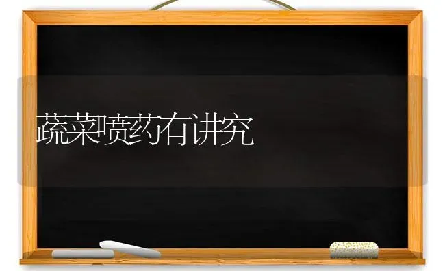蔬菜喷药有讲究 | 蔬菜种植