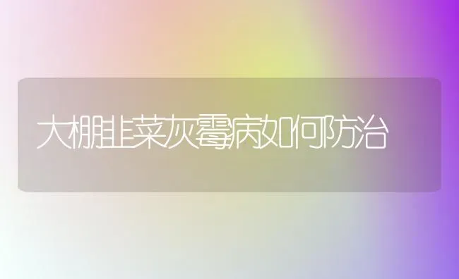 大棚韭菜灰霉病如何防治 | 蔬菜种植