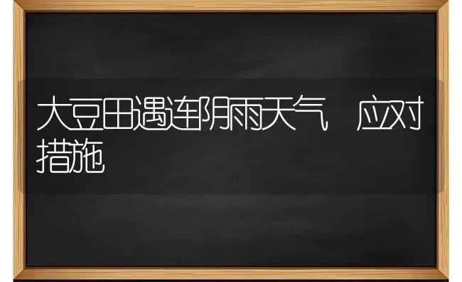 大豆田遇连阴雨天气 应对措施 | 粮油作物种植