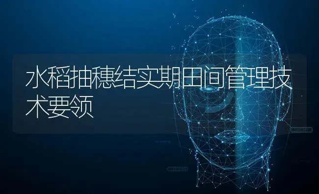 水稻抽穗结实期田间管理技术要领 | 粮油作物种植