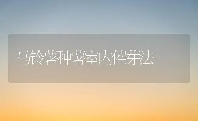 马铃薯种薯室内催芽法 | 粮油作物种植