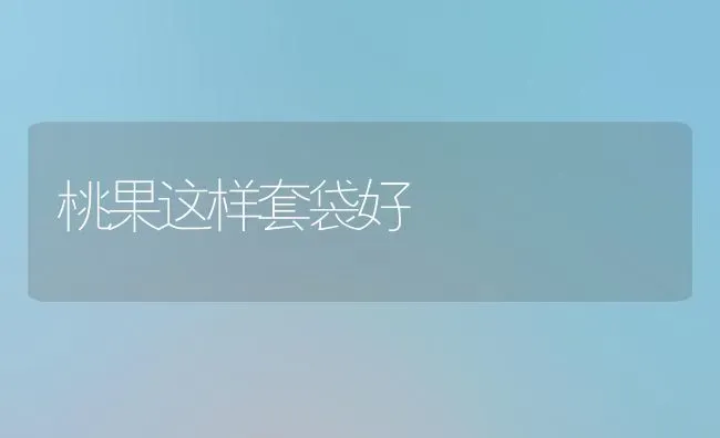 桃果这样套袋好 | 瓜果种植
