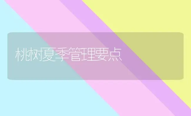 桃树夏季管理要点 | 瓜果种植