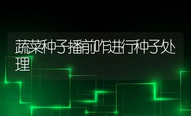 蔬菜种子播前咋进行种子处理 | 蔬菜种植