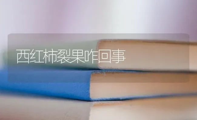 西红柿裂果咋回事 | 瓜果种植