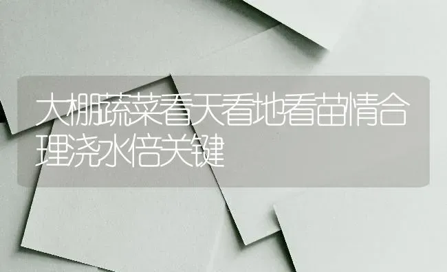 大棚蔬菜看天看地看苗情合理浇水倍关键 | 蔬菜种植