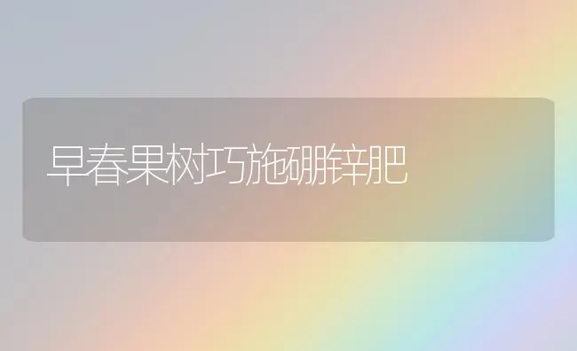 早春果树巧施硼锌肥 | 瓜果种植