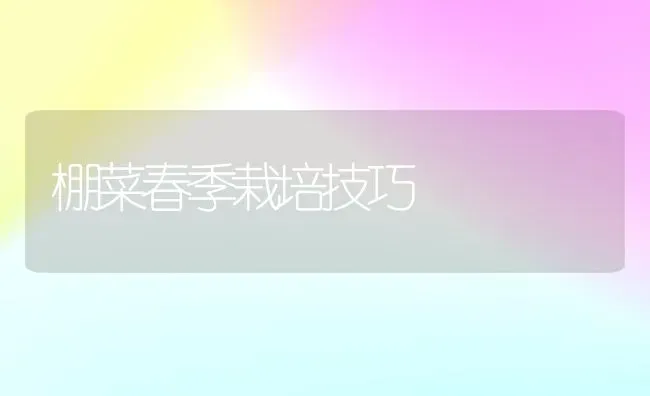 棚菜春季栽培技巧 | 蔬菜种植