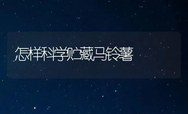 怎样科学贮藏马铃薯 | 粮油作物种植
