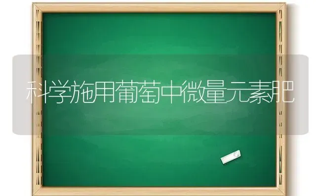 科学施用葡萄中微量元素肥 | 瓜果种植