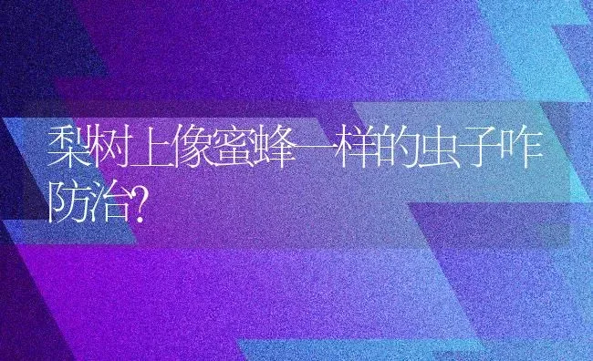 梨树上像蜜蜂一样的虫子咋防治？ | 瓜果种植