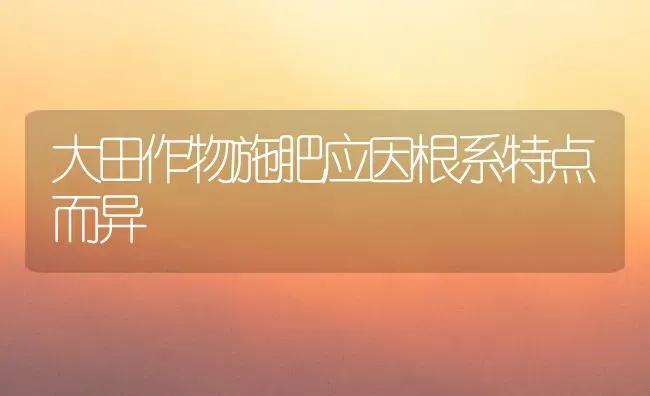 大田作物施肥应因根系特点而异 | 种植肥料施肥