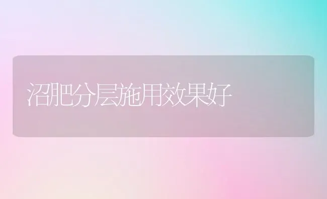 沼肥分层施用效果好 | 瓜果种植