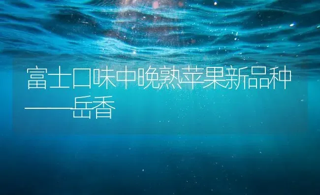 富士口味中晚熟苹果新品种——岳香 | 瓜果种植