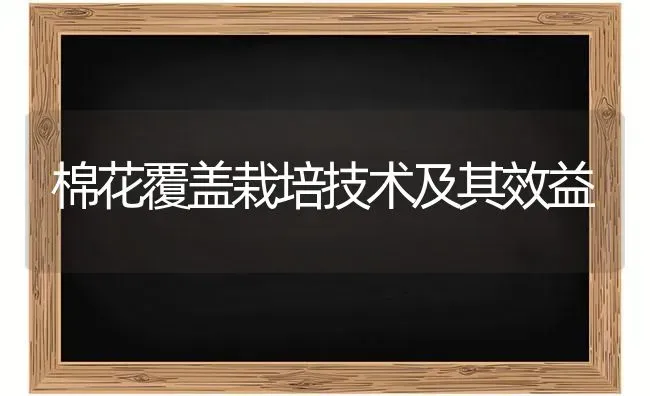 棉花覆盖栽培技术及其效益 | 粮油作物种植