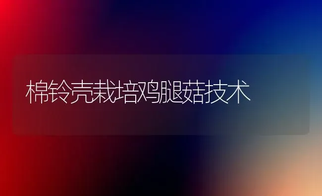 棉铃壳栽培鸡腿菇技术 | 食用菌种植