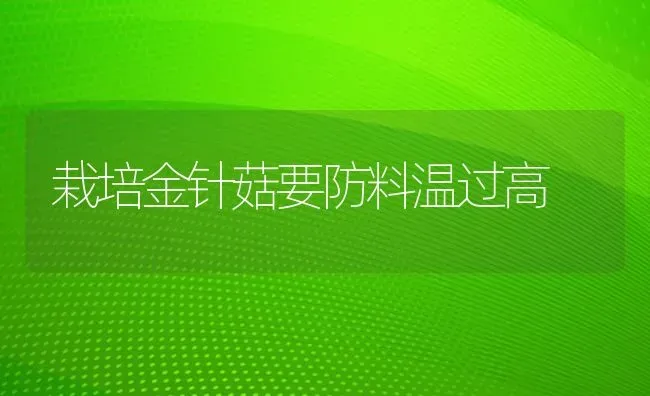 栽培金针菇要防料温过高 | 食用菌种植